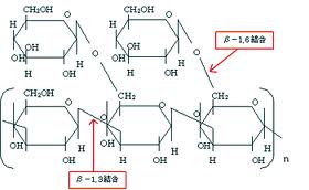 黒酵母発酵液のβ1.3-1.6グルカンの構造図
