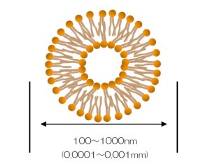 NANOカプセルの大きさ、形状の概念イメージ