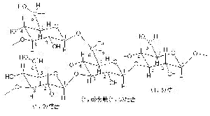 パン酵母βグルカンの分子構造図